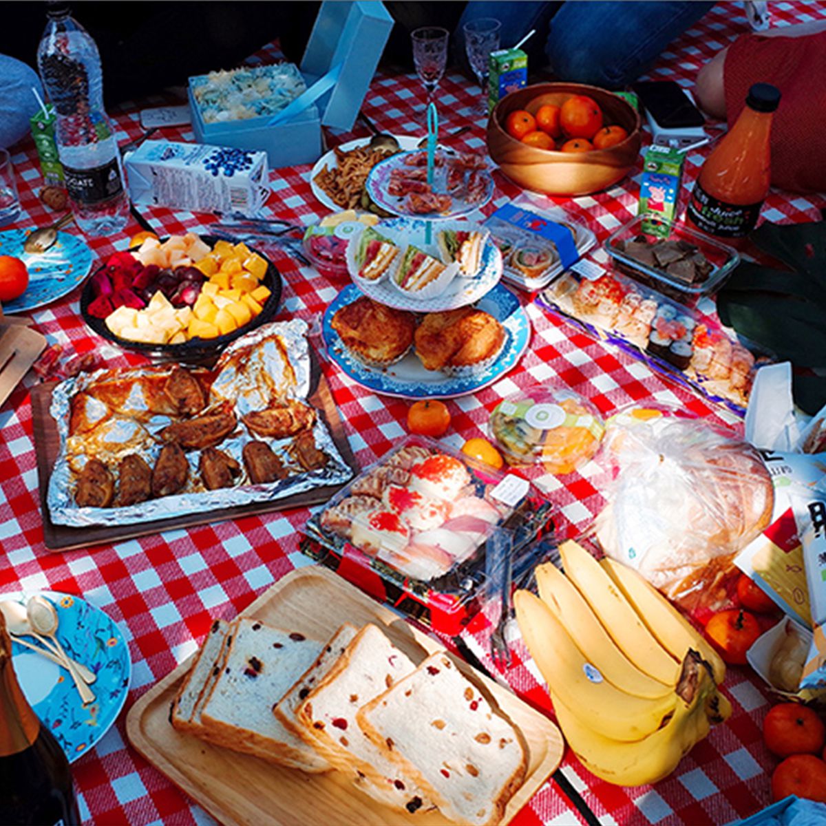 Pocket Blanket Image 3